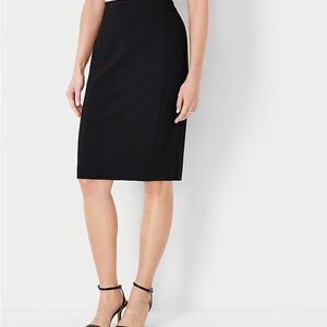 Ann Taylor Seamed Pencil Skirt, 10